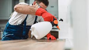 Best Residential Pest Control  in East Rockingham, NC